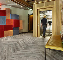 Forbo Allura Decibel 8WHA01-3WHA01 winter harvest oak фото 2 | FLOORDEALER